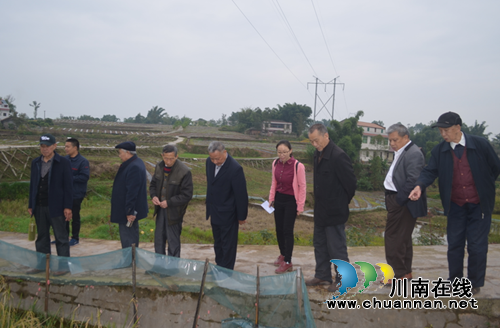 宜宾留宾乡退休老干部返乡过重阳(图1)