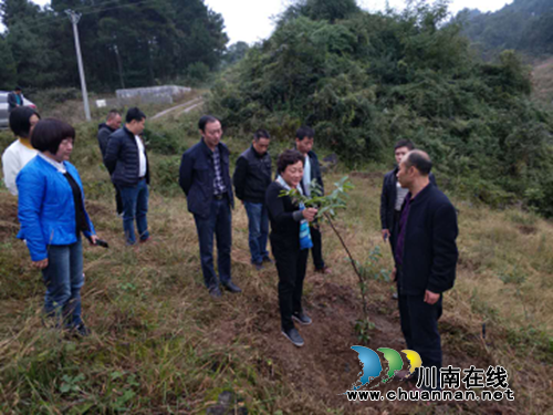 为脱贫献爱&nbsp;为致富助力——泸州市人民医院2018年度“扶贫日”系列活动(图2)