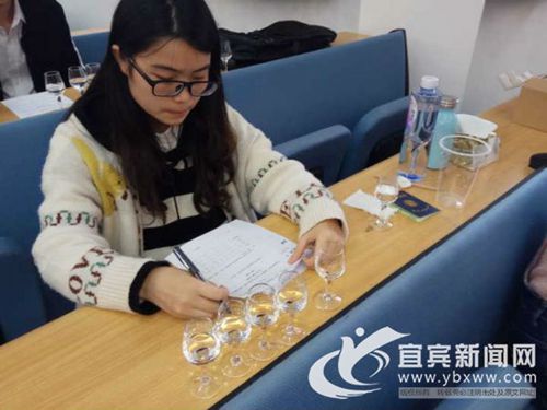 宜宾：品酒论英雄&nbsp;白酒学院举行白酒品酒大赛(图2)