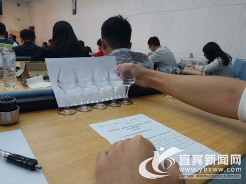 宜宾：品酒论英雄&nbsp;白酒学院举行白酒品酒大赛(图3)
