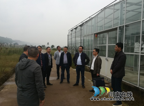 泸州市国土资源局市农业局联合督导合江县“大棚房”清理整治工作(图1)