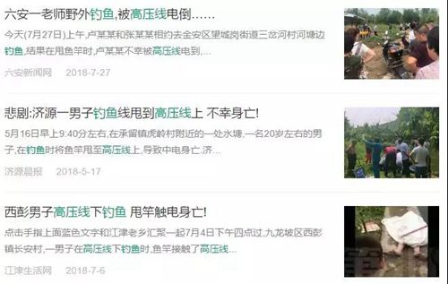 提醒!钓鱼千万远离高压线,莫拿生命开玩笑(图2) 提醒!钓鱼千万远离高压线,莫拿生命开玩笑(图2)