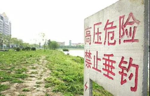 提醒!钓鱼千万远离高压线,莫拿生命开玩笑(图8) 提醒!钓鱼千万远离高压线,莫拿生命开玩笑(图8)