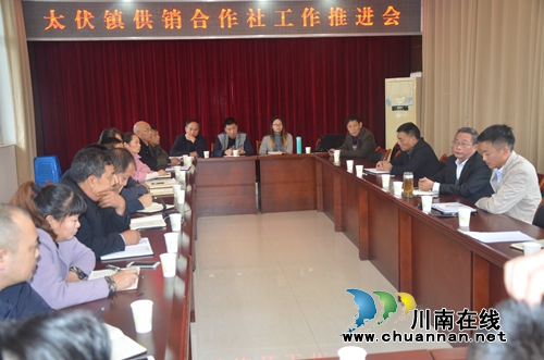 泸县太伏镇召开供销合作社工作推进会(图1)