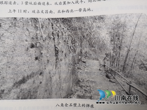 牟亚林《纳溪征粮剿匪纪实》出版(图18)