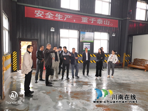 市人大调研泸县生活垃圾治理工作(图1)