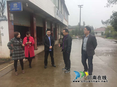 赖晓东率队到宜宾大坪乡督导省级卫生乡镇创建工作(图2)