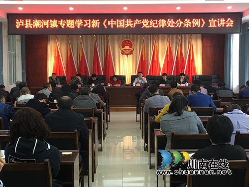 泸县潮河镇组织开展新《中国***纪律处分条例》学习活动(图1)