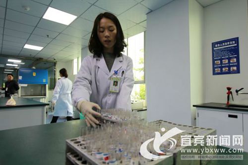 宜宾医疗用血“搬运工”&nbsp;平均年采供血7.75吨(图5)