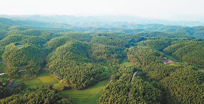 人民日报聚焦泸州：“竹”梦小康&nbsp;结满园硕果(图1)