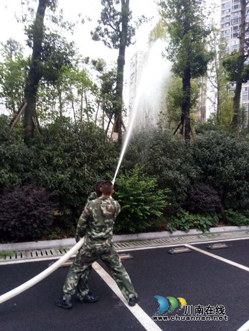 泸州张坝:马蜂筑巢行道树 消防官兵除隐患(图1) 泸州张坝:马蜂筑巢行道树 消防官兵除隐患(图1)