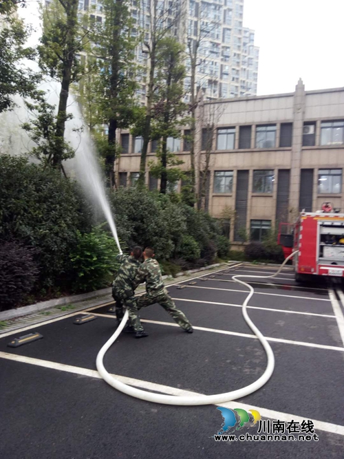 泸州张坝:马蜂筑巢行道树 消防官兵除隐患(图2) 泸州张坝:马蜂筑巢行道树 消防官兵除隐患(图2)