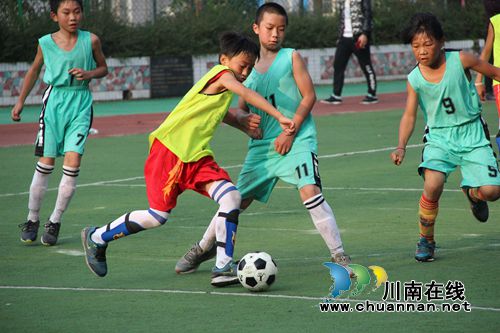 泸县太伏镇第三届校园足球赛圆满落幕(图1)