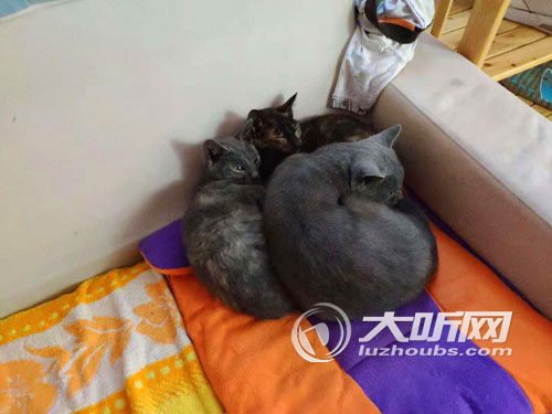 养鸡棚改成录音棚&nbsp;泸州小伙痴迷说唱唱不停(图3)