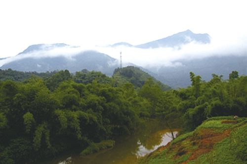 相伴同行&nbsp;四十年改革路；应势而出&nbsp;迎春风吹满地(图3)
