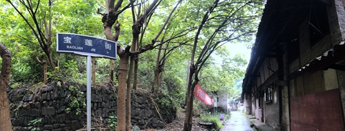 青砖黛瓦&nbsp;故景如初如旧；古韵悠悠&nbsp;且看今朝风流(图5)