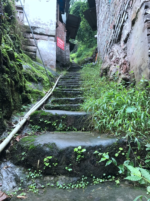 青砖黛瓦&nbsp;故景如初如旧；古韵悠悠&nbsp;且看今朝风流(图4)