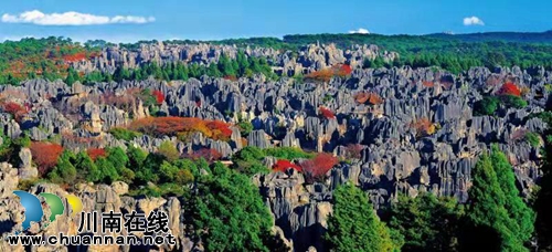 石林、洱海···众多景区叫你去“一品云南”(图8)