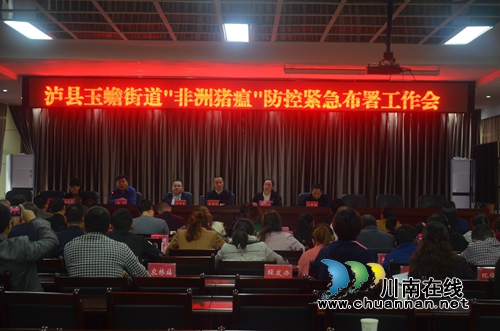 泸县玉蟾街道召开“非洲猪瘟”防控紧急部署工作会(图1)
