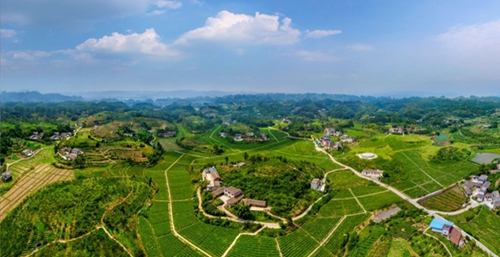 四川明年底实现“乡乡通油路、村村通硬化路”(图2)