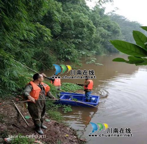 龙马潭区红星街道开展水上漂浮物打捞工作(图1)