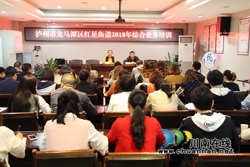 龙马潭区红星街道:开展综合业务培训 精准提升业务能力(图1) 龙马潭区红星街道:开展综合业务培训 精准提升业务能力(图1)