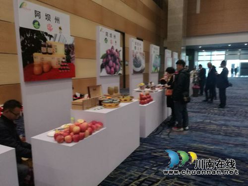 “早春二月”特早茶代表泸州参加省农产推荐会(图4)