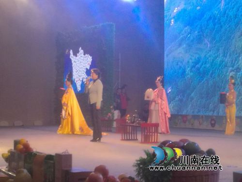 “早春二月”特早茶代表泸州参加省农产推荐会(图5)