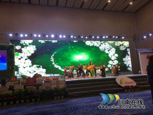 “早春二月”特早茶代表泸州参加省农产推荐会(图8)