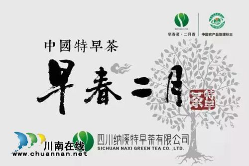 “早春二月”特早茶代表泸州参加省农产推荐会(图15)