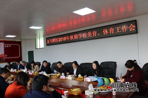 龙马潭区召开2018年秋期体育、美育工作总结会(图8)