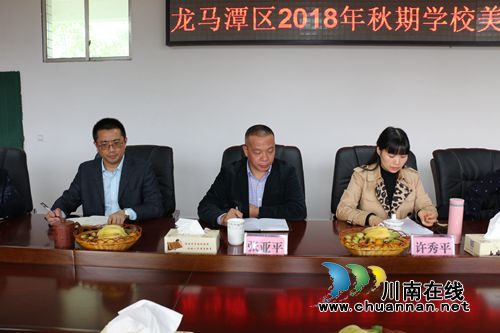龙马潭区召开2018年秋期体育、美育工作总结会(图5)