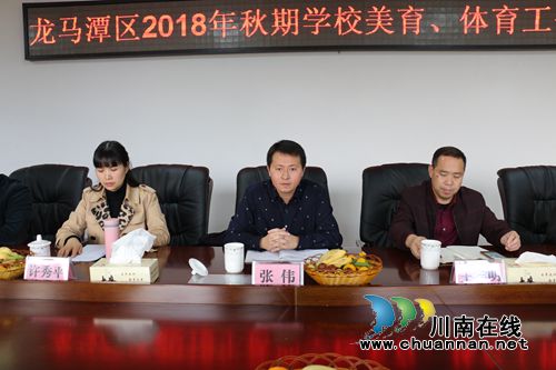 龙马潭区召开2018年秋期体育、美育工作总结会(图4)