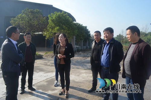 泸县玉蟾街道开展安全生产、环保工作大检查(图1)