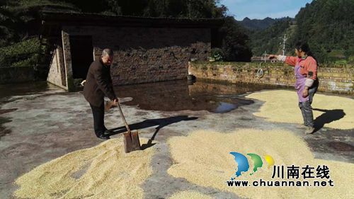 古蔺县香楠村5组有序推进包组、包户工作落实(图3)