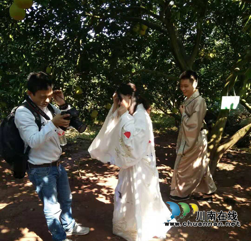 合江县旅游局入驻抖音举办真龙柚抖音大赛(图3)