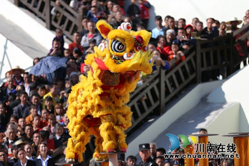 古蔺：10颗猕猴桃总重3.24千克&nbsp;拍出1.8万天价(图4)