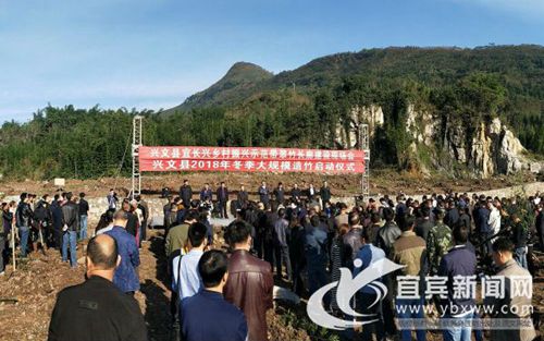 宜宾兴文启动冬季造竹活动&nbsp;建设百里翠竹长廊(图1)