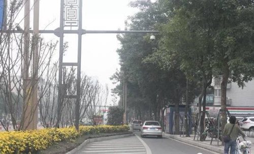 自贡高新区15处违法停车抓拍机器人上线(图2) 自贡高新区15处违法停车抓拍机器人上线(图2)