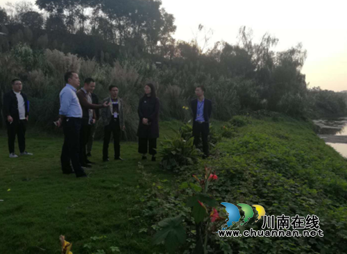 龙马潭区彭莉副区长带队检查环境保护督察“回头看”工作(图1)