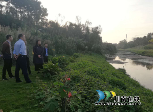 龙马潭区彭莉副区长带队检查环境保护督察“回头看”工作(图2)