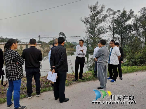 肖刚率队督导泸县太伏镇环保问题整改情况(图1)