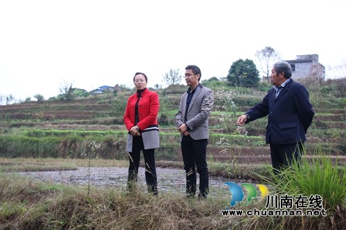 泸县潮河镇组织开展河长制及环保工作专项巡查(图1) 泸县潮河镇组织开展河长制及环保工作专项巡查(图1)