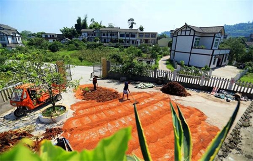 全省唯一！宜宾高店镇荣获国家园林城镇称号(图3)