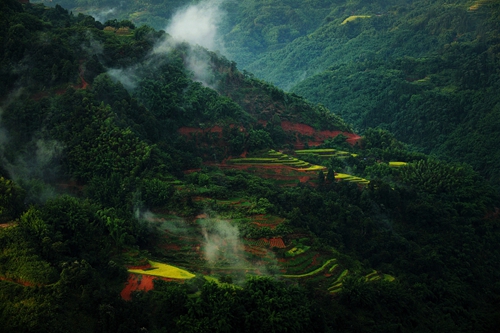 沈酒：百亿产值集团背后的行业竞争力与成长力(图2)