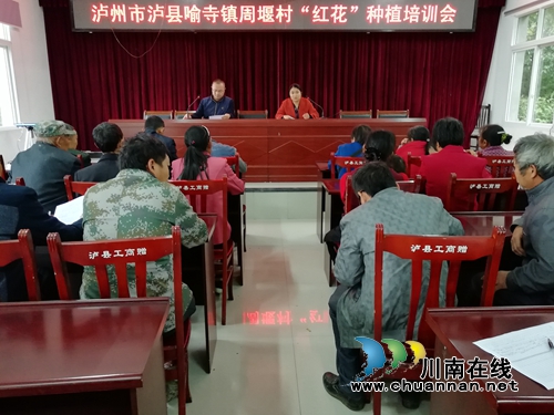 泸县喻寺镇周堰村召开红花种植培训会(图1) 泸县喻寺镇周堰村召开红花种植培训会(图1)