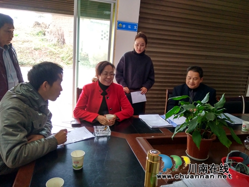 泸县潮河镇组织开展综合性安全检查(图1)