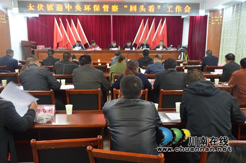 泸县太伏镇召开迎接中央环保督查“回头看”工作会(图1)