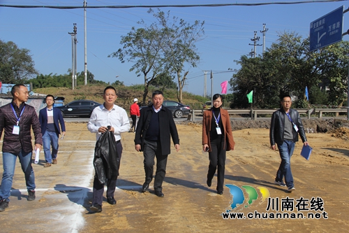 杨双全到泸县云龙镇督导空港特色镇二期项目建设工作(图2)