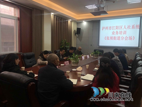 江阳区人社局到张坝街道进行业务培训(图1)